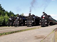 Setkání lokomotiv řady 354 v Lužné